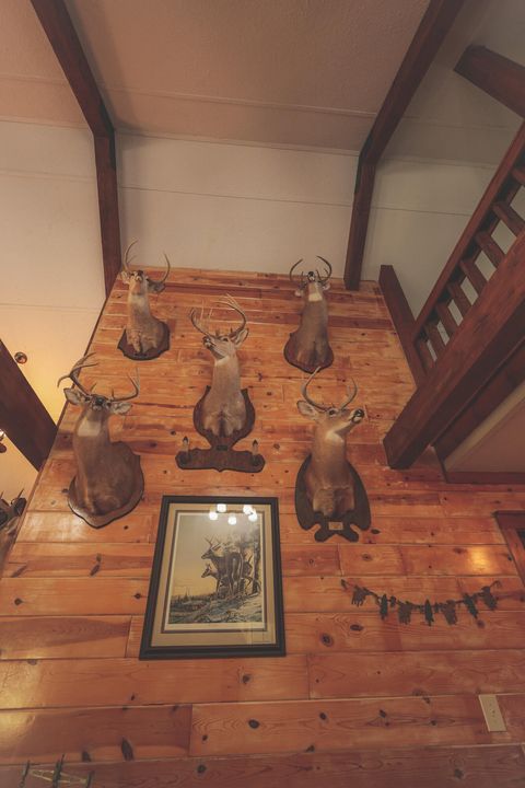 Tiny photo for 1047 Nelson Harrison Road, Evensville, TN 37332 (MLS # 1531180)