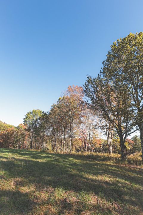 Tiny photo for 1047 Nelson Harrison Road, Evensville, TN 37332 (MLS # 1531180)