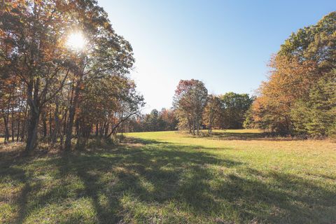 Tiny photo for 1047 Nelson Harrison Road, Evensville, TN 37332 (MLS # 1531180)