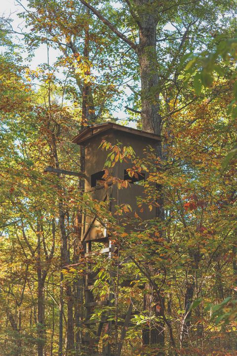 Tiny photo for 1047 Nelson Harrison Road, Evensville, TN 37332 (MLS # 1531180)