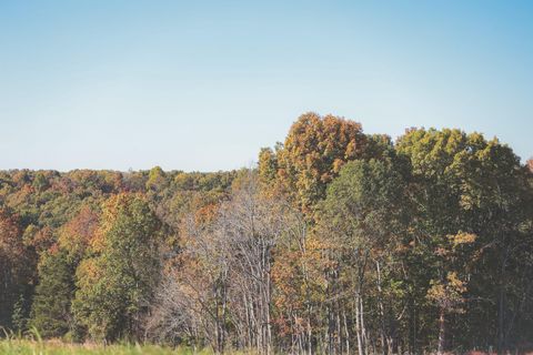 Tiny photo for 1047 Nelson Harrison Road, Evensville, TN 37332 (MLS # 1531180)