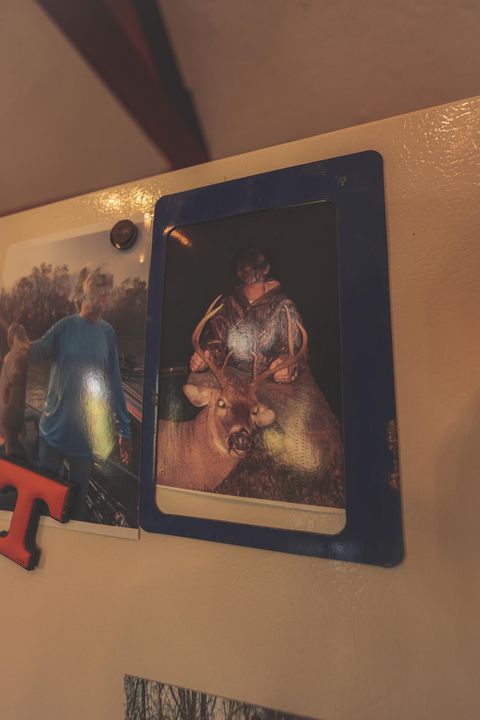 Tiny photo for 1047 Nelson Harrison Road, Evensville, TN 37332 (MLS # 1531180)