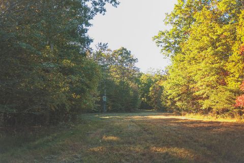 Tiny photo for 1047 Nelson Harrison Road, Evensville, TN 37332 (MLS # 1531180)