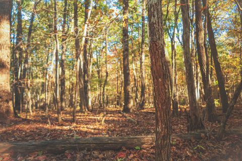 Tiny photo for 1047 Nelson Harrison Road, Evensville, TN 37332 (MLS # 1531180)