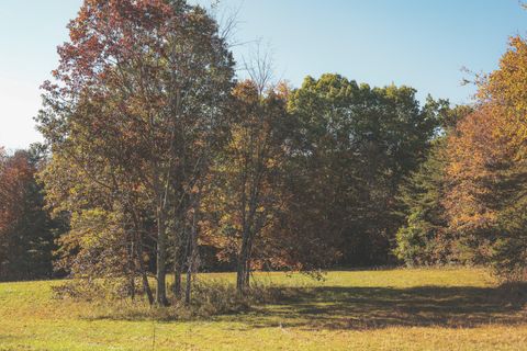 Tiny photo for 1047 Nelson Harrison Road, Evensville, TN 37332 (MLS # 1531180)