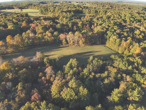 Tiny photo for 1047 Nelson Harrison Road, Evensville, TN 37332 (MLS # 1531180)