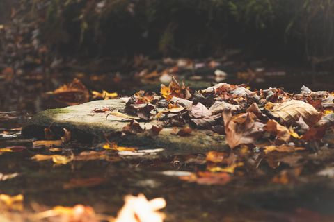 Tiny photo for 1047 Nelson Harrison Road, Evensville, TN 37332 (MLS # 1531180)