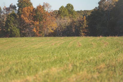 Tiny photo for 1047 Nelson Harrison Road, Evensville, TN 37332 (MLS # 1531180)