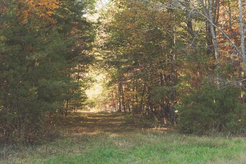Tiny photo for 1047 Nelson Harrison Road, Evensville, TN 37332 (MLS # 1531180)