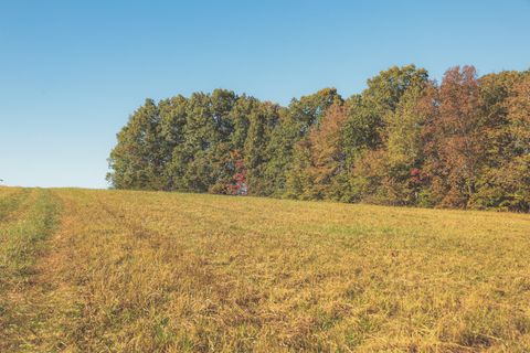 Tiny photo for 1047 Nelson Harrison Road, Evensville, TN 37332 (MLS # 1531180)