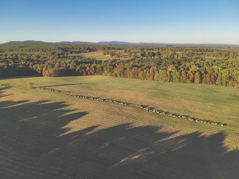 Tiny photo for 1047 Nelson Harrison Road, Evensville, TN 37332 (MLS # 1531180)