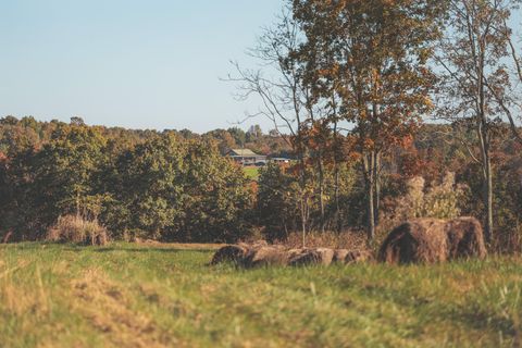 Tiny photo for 1047 Nelson Harrison Road, Evensville, TN 37332 (MLS # 1531180)