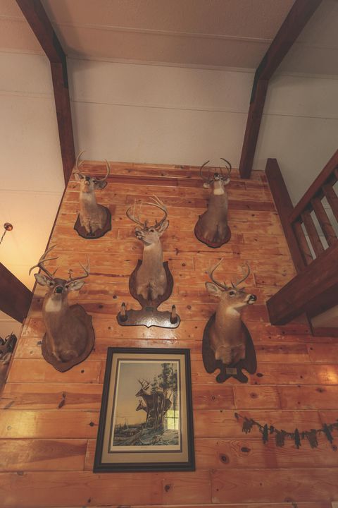 Tiny photo for 1047 Nelson Harrison Road, Evensville, TN 37332 (MLS # 1531180)