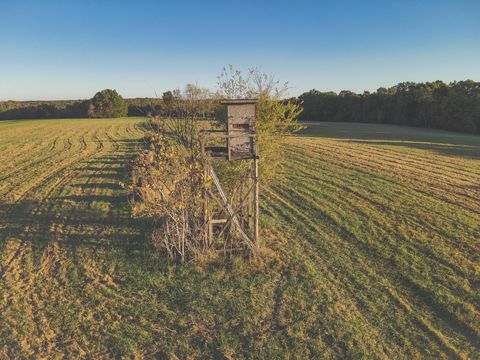 Tiny photo for 1047 Nelson Harrison Road, Evensville, TN 37332 (MLS # 1531180)