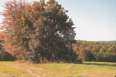 Tiny photo for 1047 Nelson Harrison Road, Evensville, TN 37332 (MLS # 1531180)