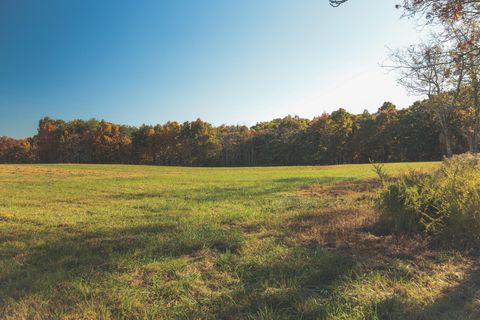 Tiny photo for 1047 Nelson Harrison Road, Evensville, TN 37332 (MLS # 1531180)