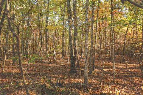 Tiny photo for 1047 Nelson Harrison Road, Evensville, TN 37332 (MLS # 1531180)