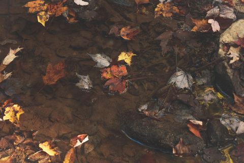 Tiny photo for 1047 Nelson Harrison Road, Evensville, TN 37332 (MLS # 1531180)