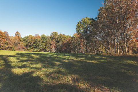 Tiny photo for 1047 Nelson Harrison Road, Evensville, TN 37332 (MLS # 1531180)