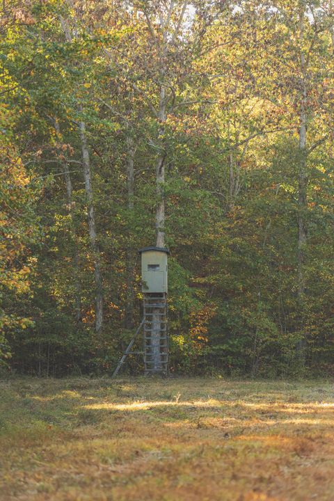 Tiny photo for 1047 Nelson Harrison Road, Evensville, TN 37332 (MLS # 1531180)