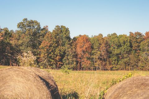 Tiny photo for 1047 Nelson Harrison Road, Evensville, TN 37332 (MLS # 1531180)