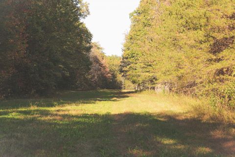Tiny photo for 1047 Nelson Harrison Road, Evensville, TN 37332 (MLS # 1531180)
