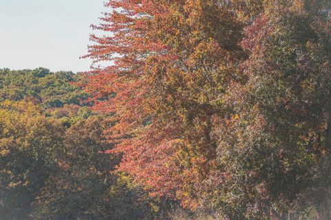 Tiny photo for 1047 Nelson Harrison Road, Evensville, TN 37332 (MLS # 1531180)