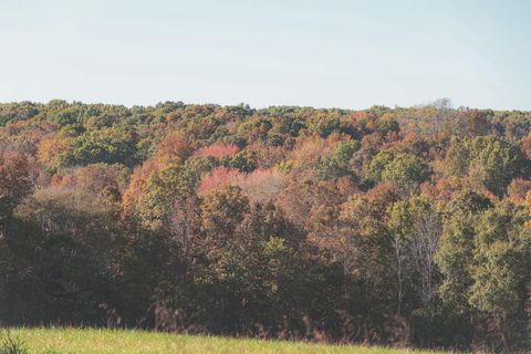 Tiny photo for 1047 Nelson Harrison Road, Evensville, TN 37332 (MLS # 1531180)