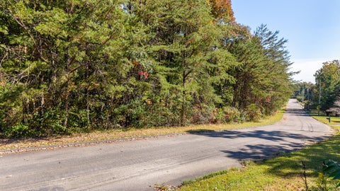 Photo of 0 Smith Drive, Signal Mountain, TN 37377 (MLS # 1544402)