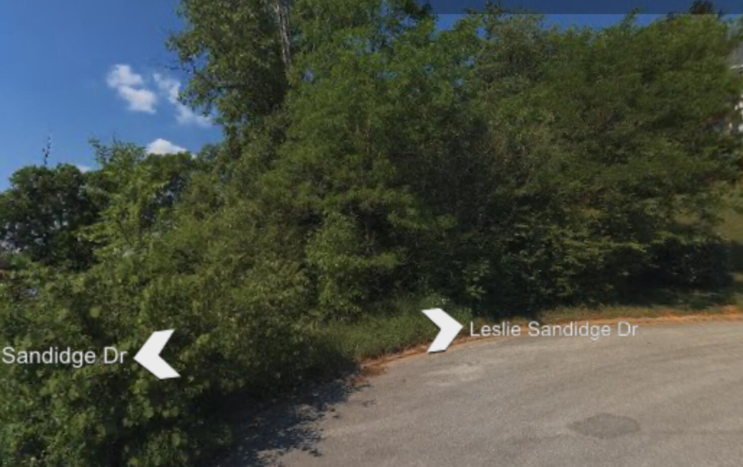 9849 Leslie Sandidge Drive, Ooltewah, Tennessee image 2