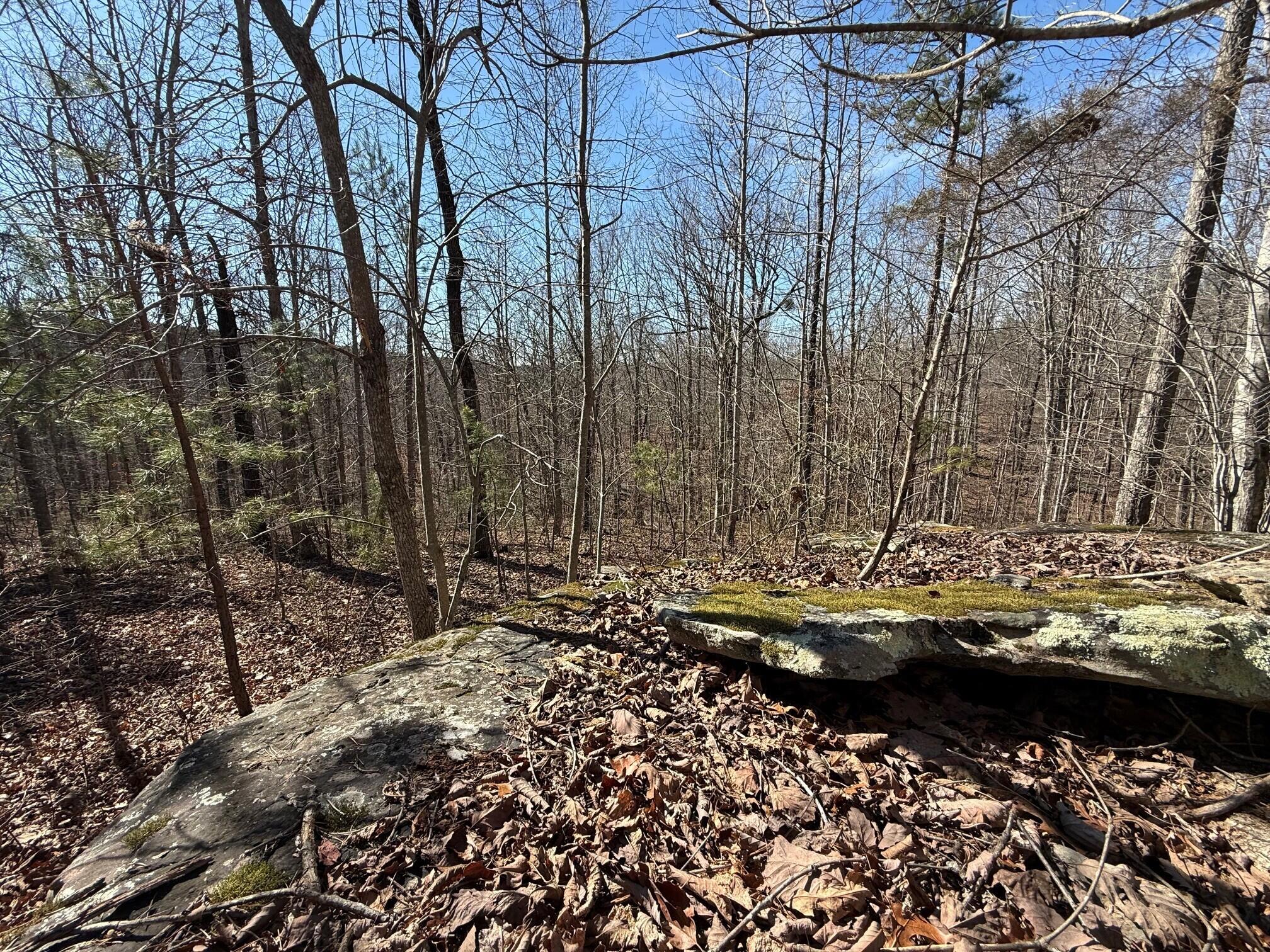 Tract 2 South Pittsburg Mtn Road Tract 2