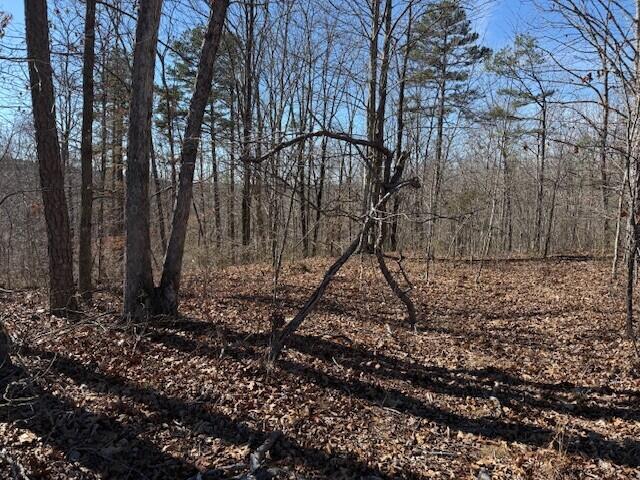 Tract 2 South Pittsburg Mtn Road Tract 2