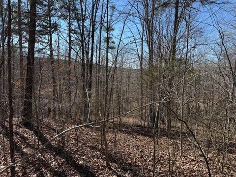 Photo of Tract 2 South Pittsburg Mtn Road, South Pittsburg, TN 37380 (MLS # 1528520)