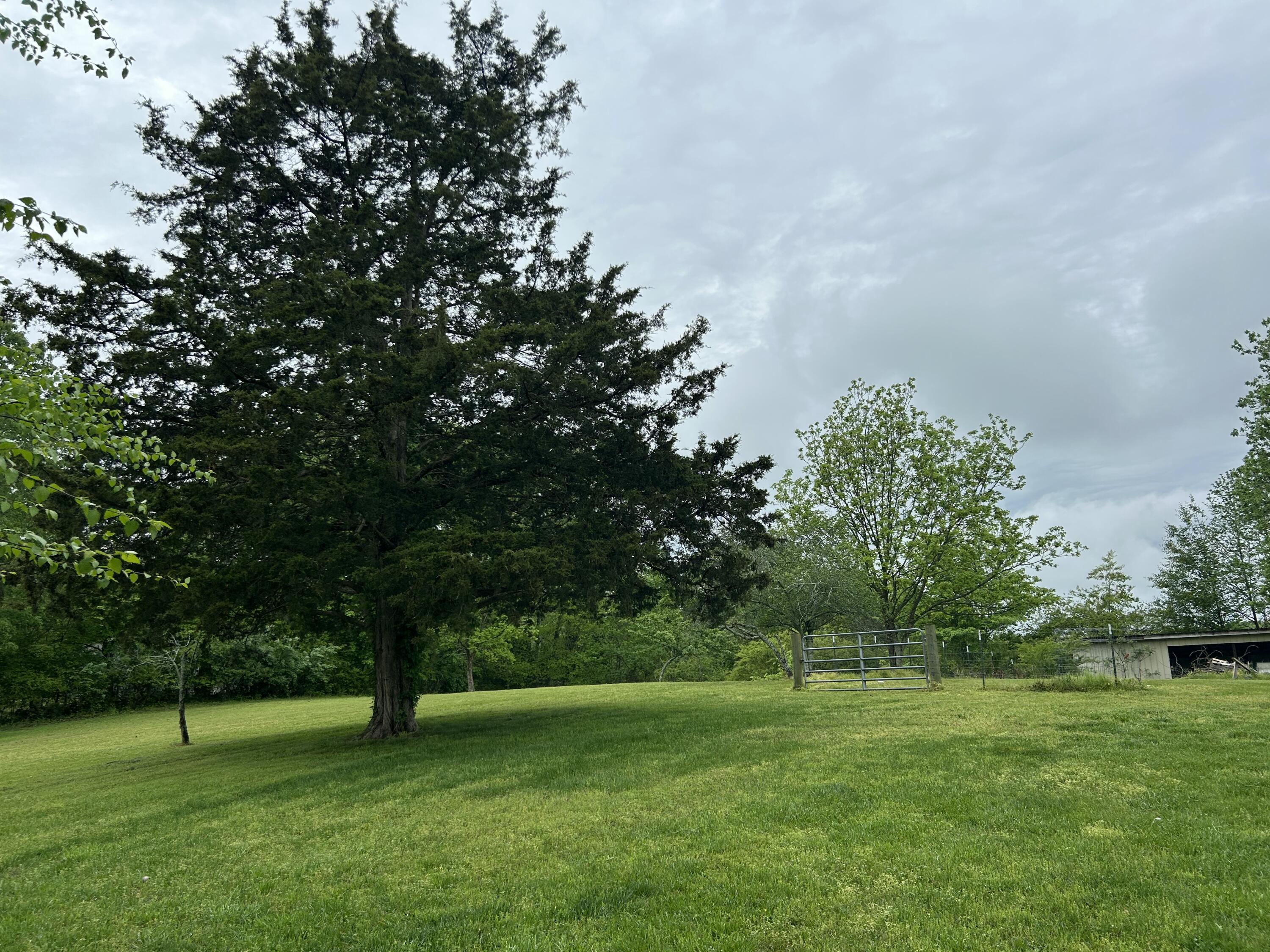 7330 Gamble Road, Georgetown, Tennessee image 9