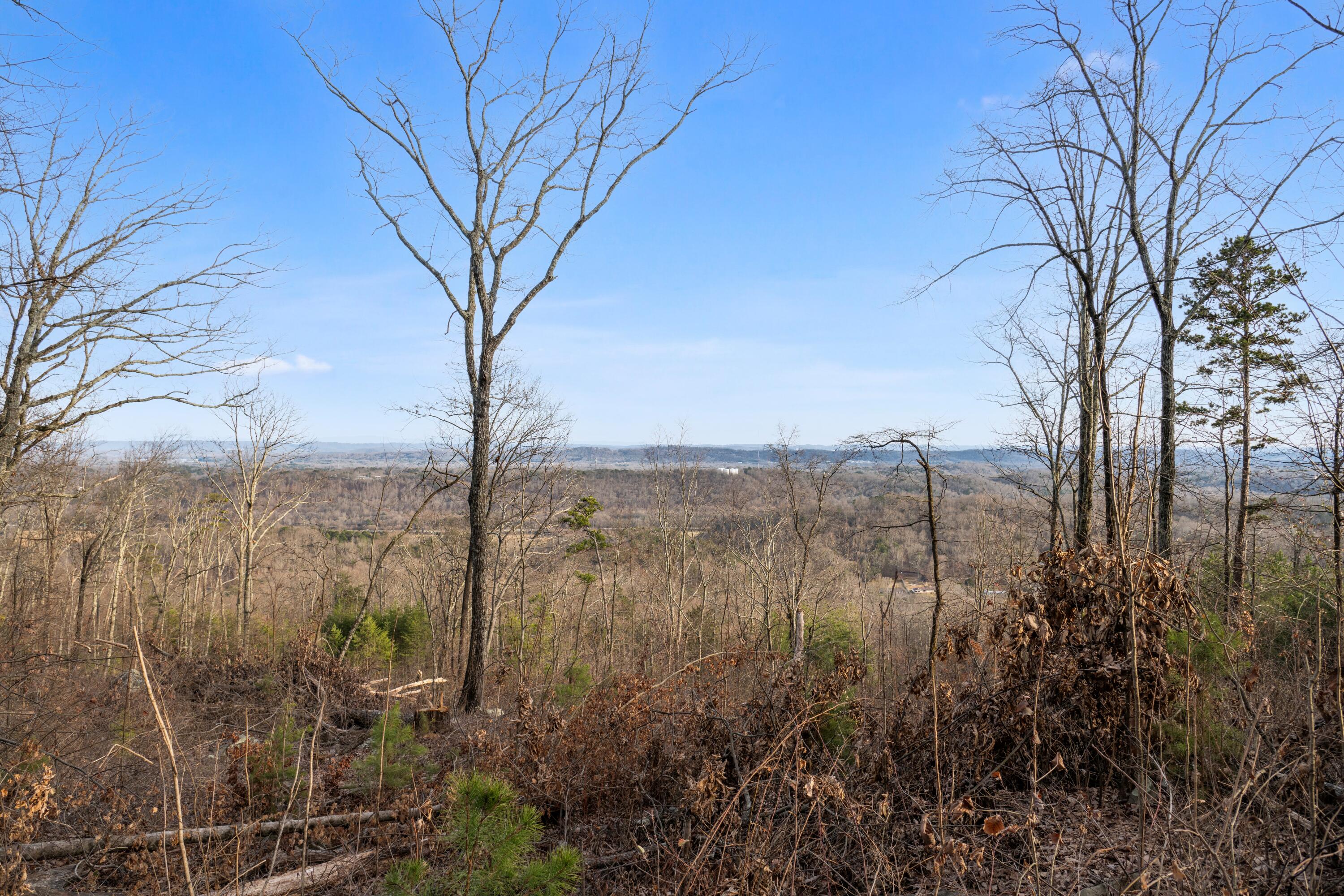 974 Bluff Ledge Trail, Hixson, Tennessee image 26
