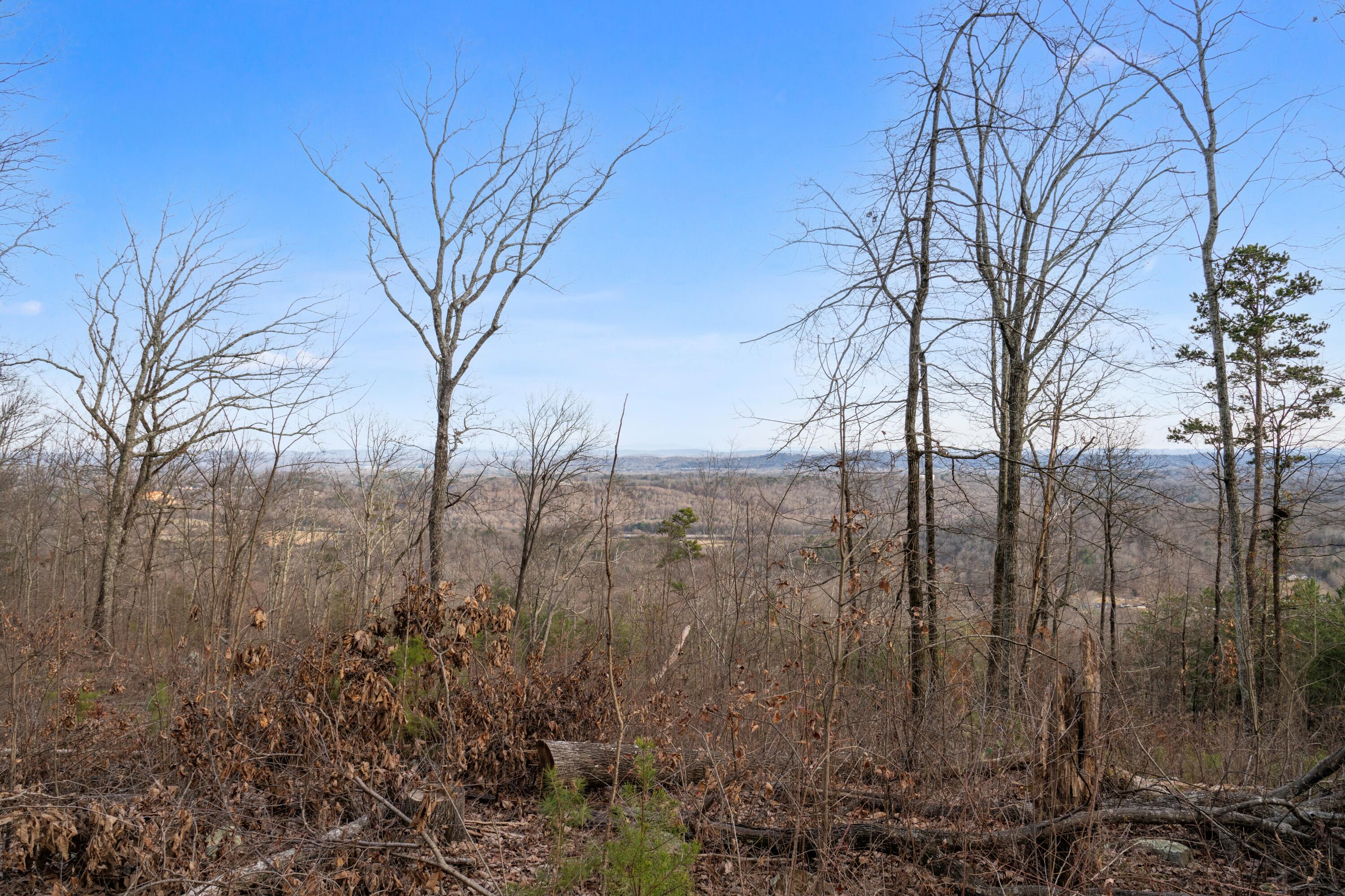 974 Bluff Ledge Trail, Hixson, Tennessee image 32
