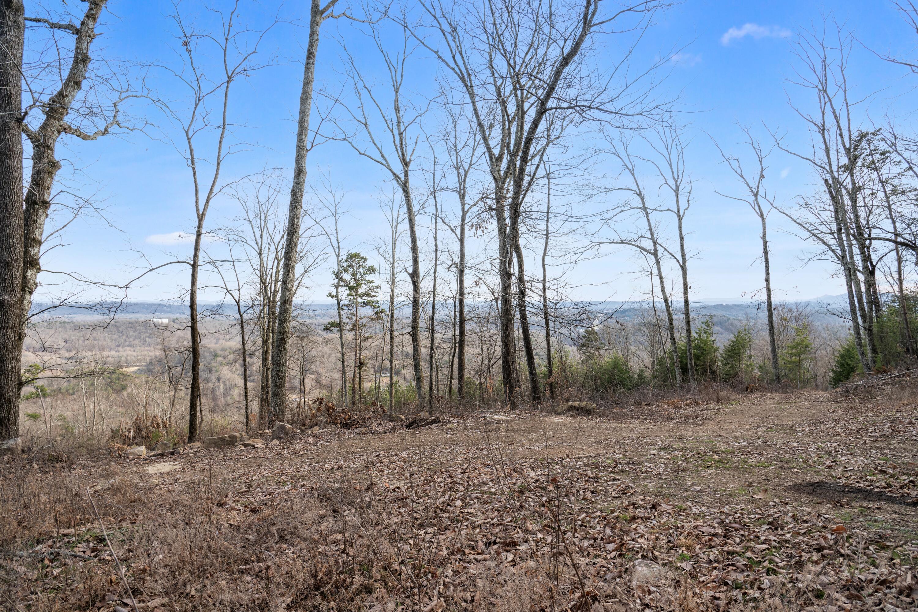 974 Bluff Ledge Trail, Hixson, Tennessee image 29