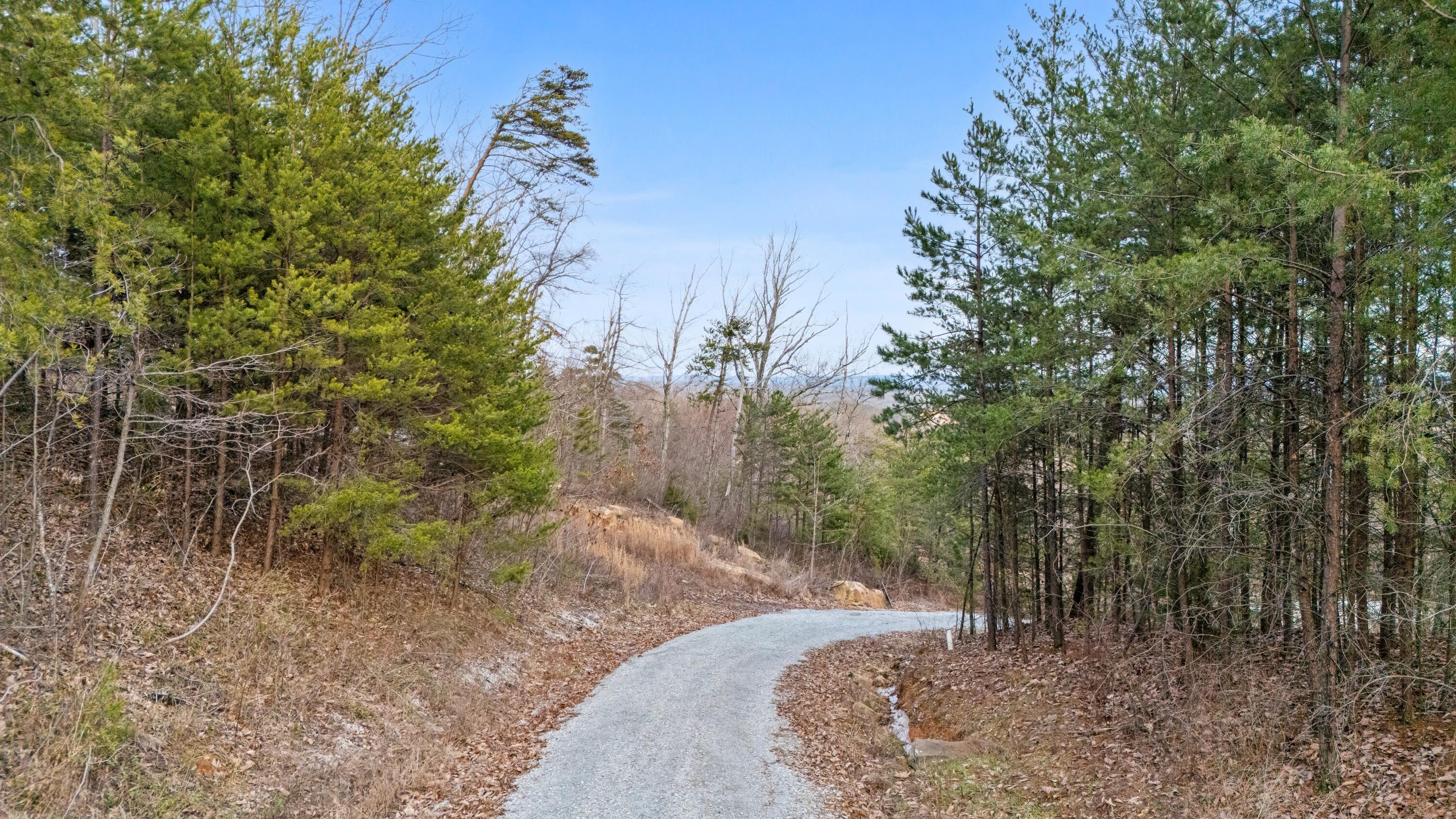 974 Bluff Ledge Trail, Hixson, Tennessee image 18