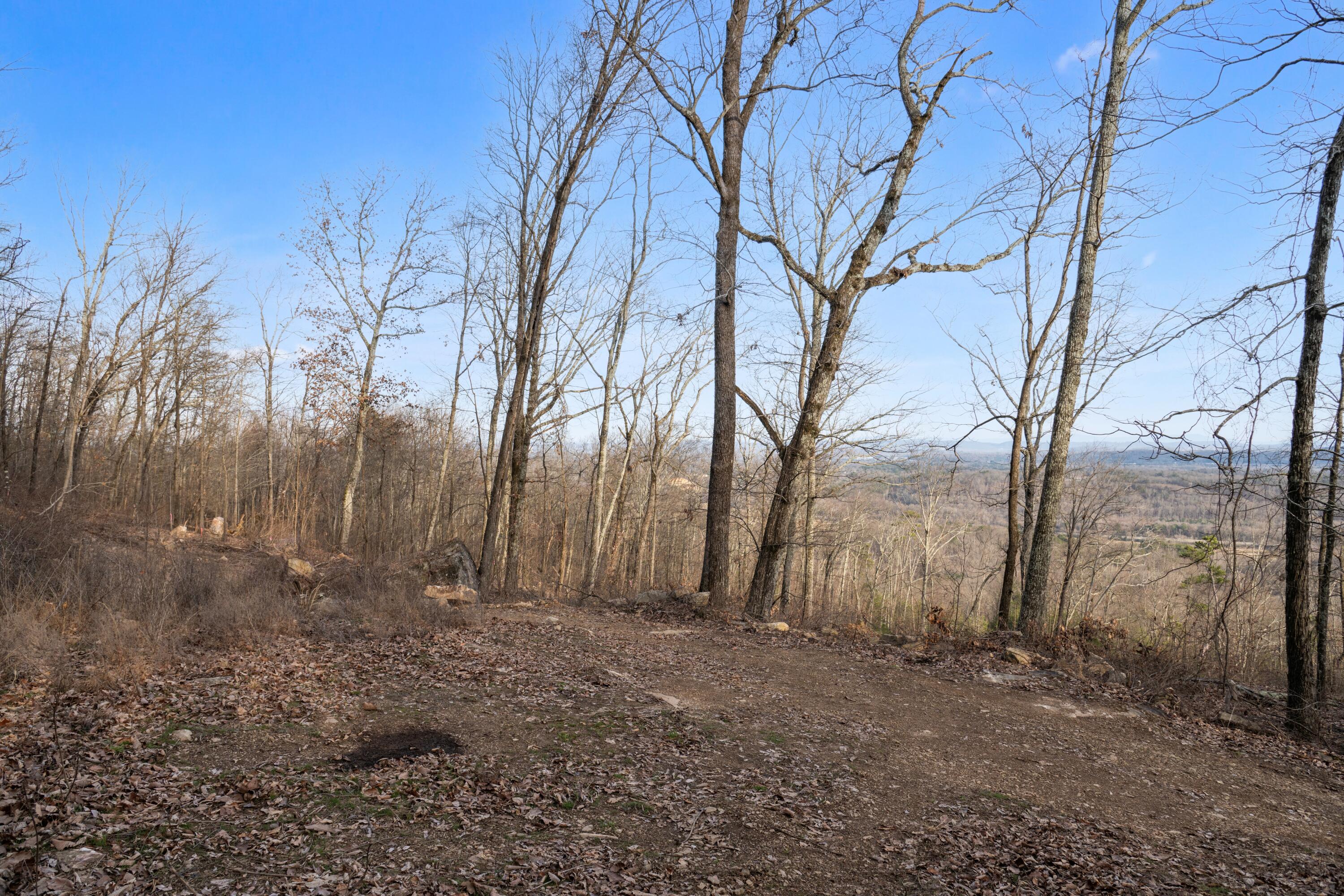 974 Bluff Ledge Trail, Hixson, Tennessee image 28