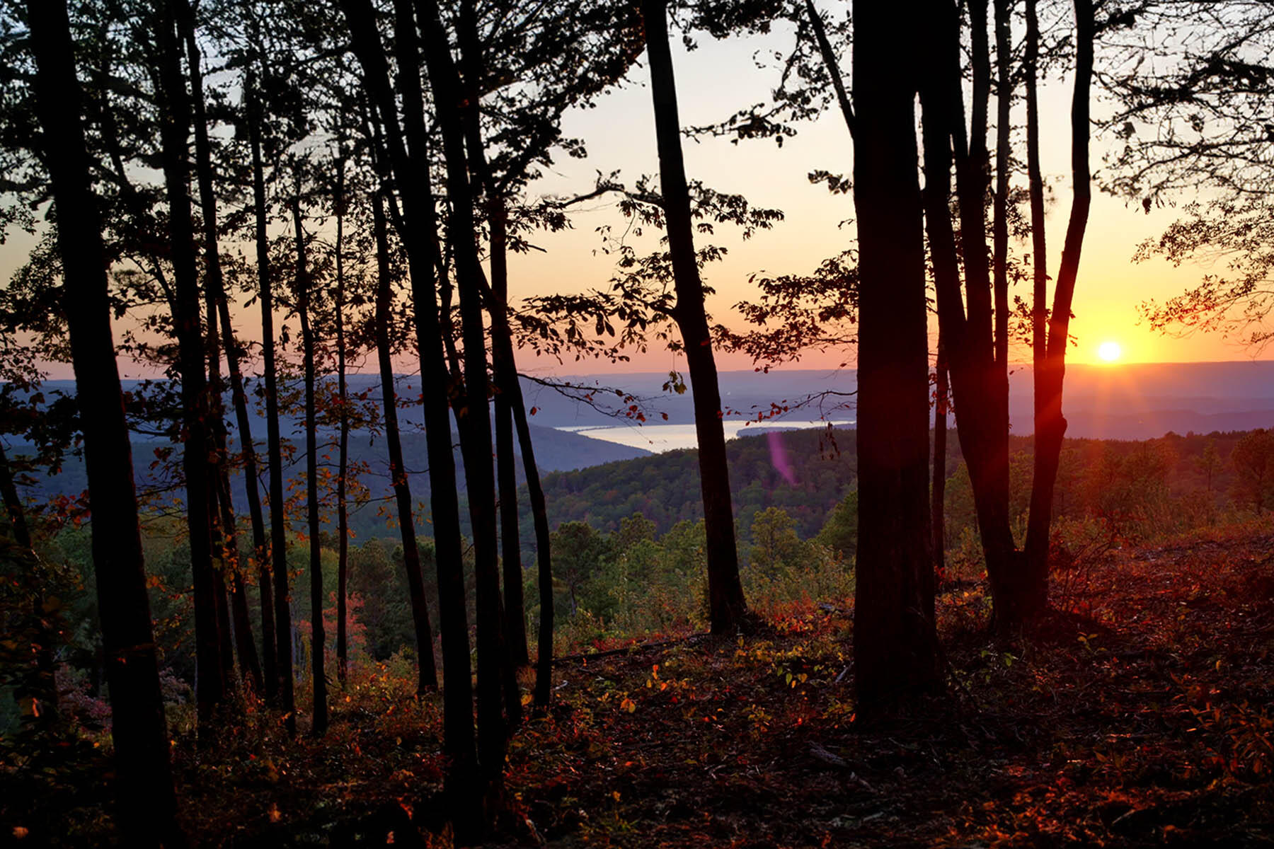 Buck Crossing Drive #LOT 1023, Guild, Tennessee image 14