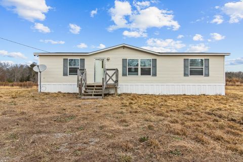 Photo of 3800 Colony Road, Gruetli Laager, TN 37339 (MLS # 1525496)