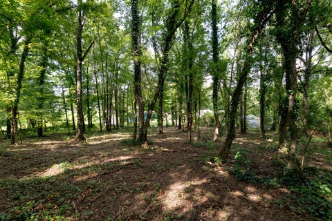 Vacant Land For Sale - Bragg Circle<br/> Rossville, GA 30741
