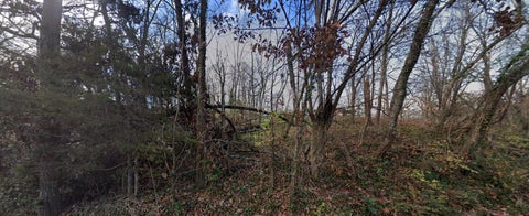Photo of 0 Ozark Circle, Chattanooga, TN 37415 (MLS # 1544939)