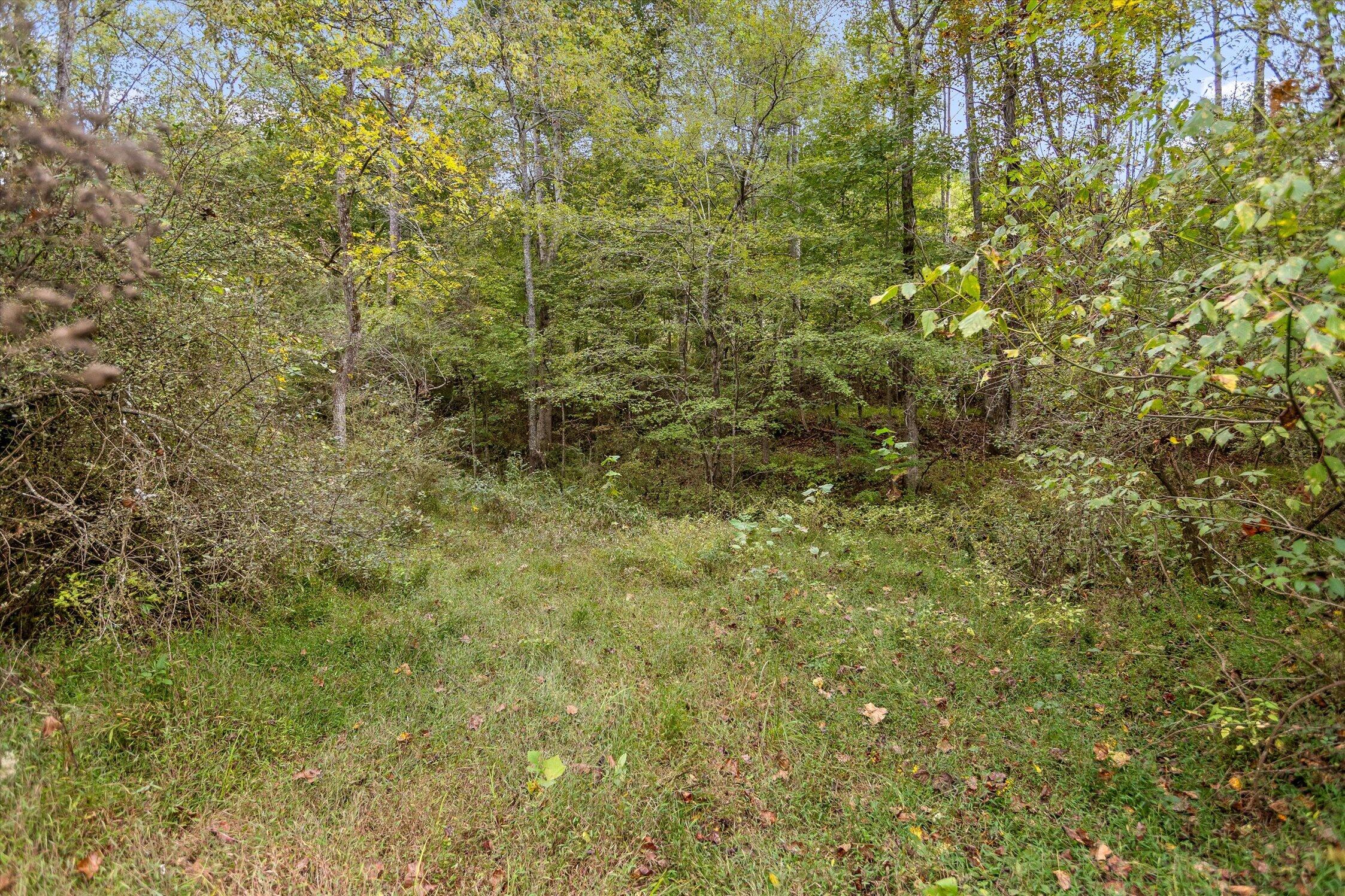 Tract 7 Beavers Road