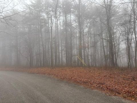 Vacant Land For Sale - 20 Wash Roberts Road<br/> Warren County, McMinnville, TN 37110