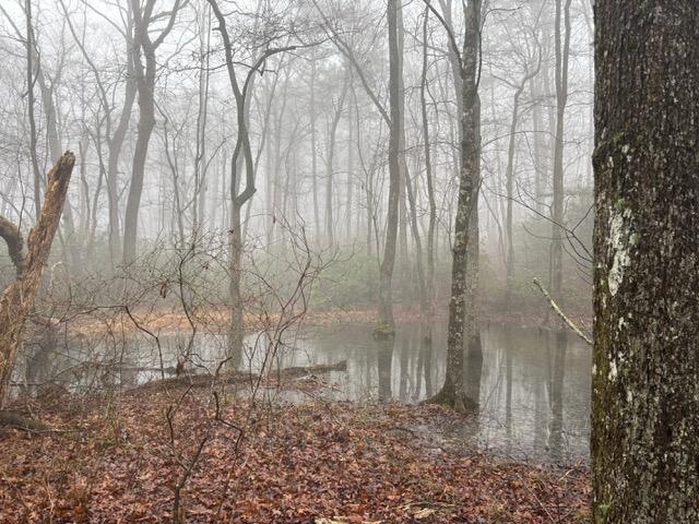 20 Wash Roberts Road 071