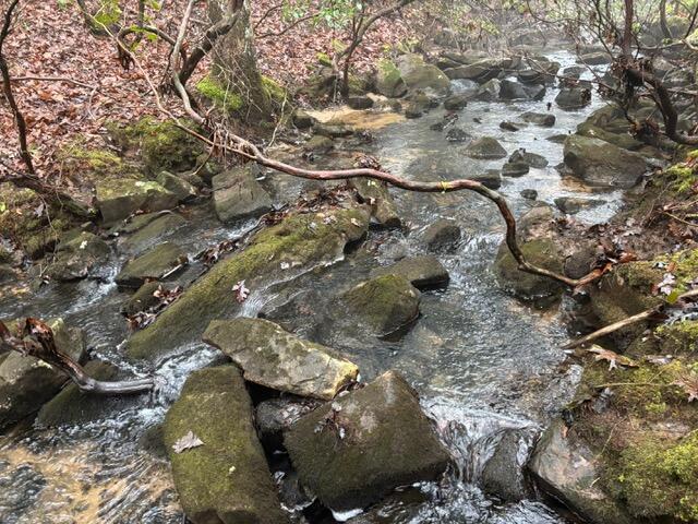 20 Wash Roberts Road 071