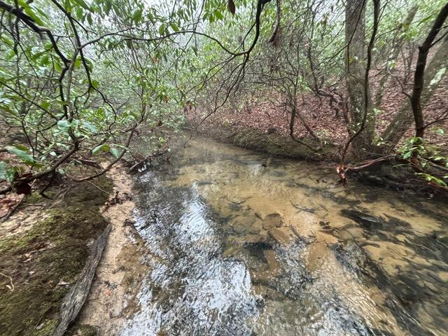 20 Wash Roberts Road 071