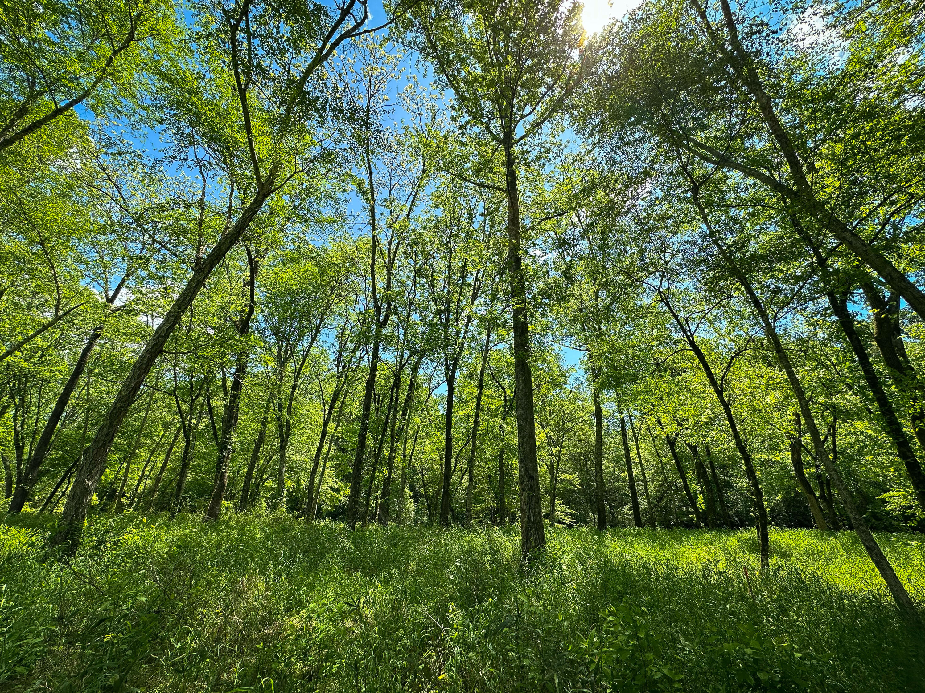 Dry Branch Way #LOT 47, Pikeville, Tennessee image 6