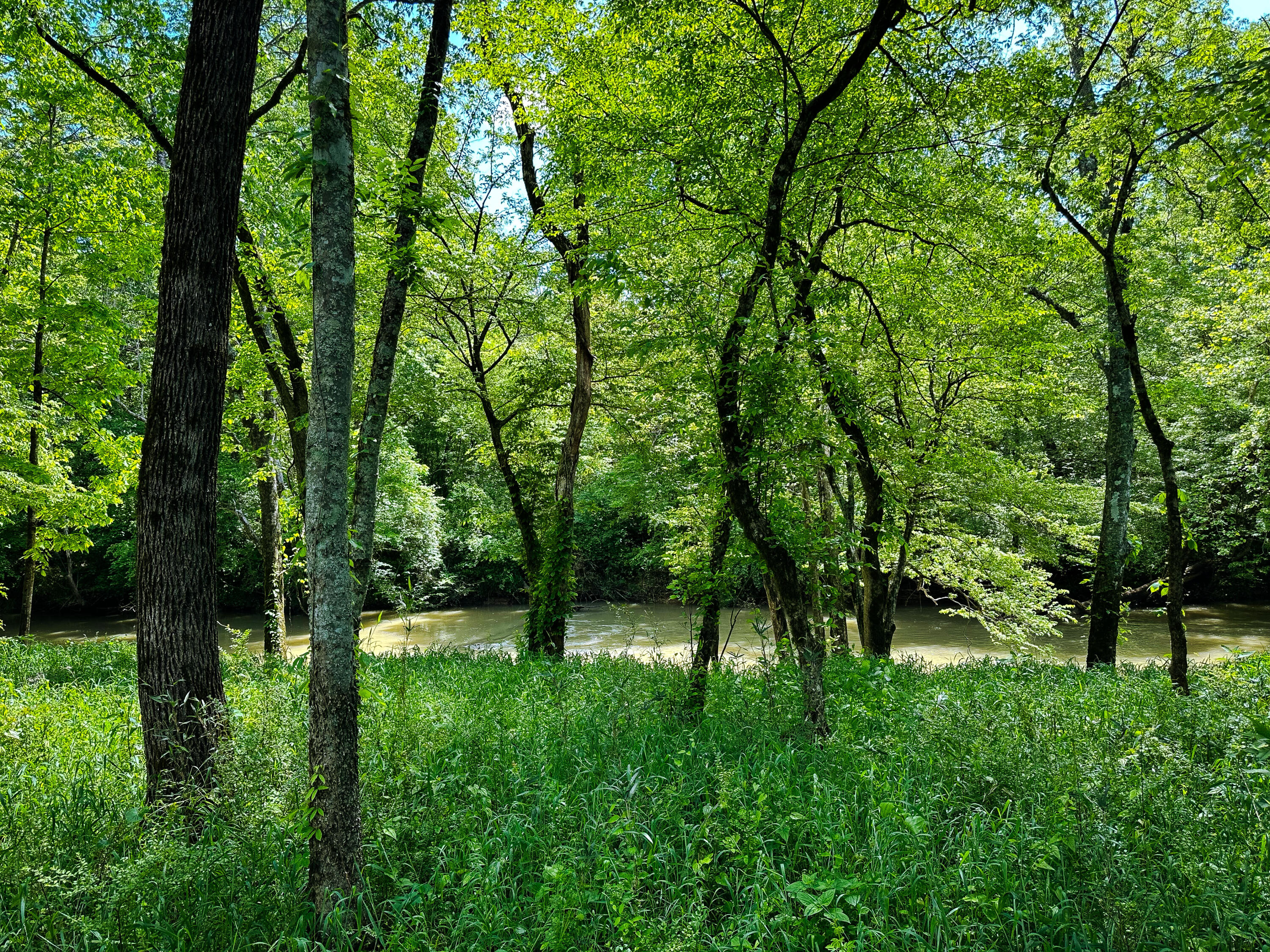 Dry Branch Way #LOT 47, Pikeville, Tennessee image 7